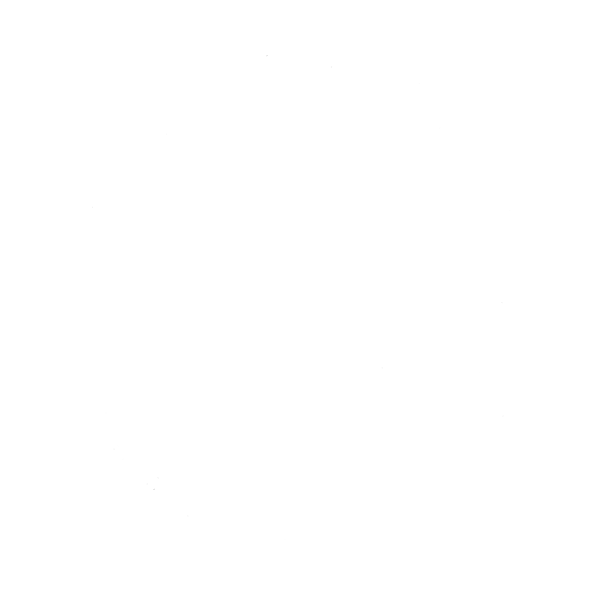 Tripp Labradors